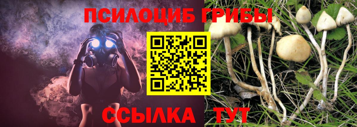 Ноябрьск  Псилоцибиновые грибы Cubensis  Вход с VPN 